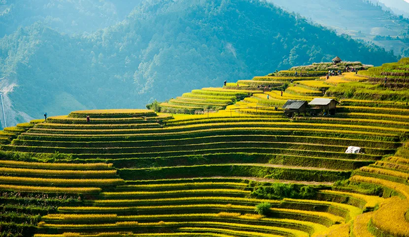 Navigating the Process of Getting a Visa to Visit Family in Vietnam from Canada - A Comprehensive Guide