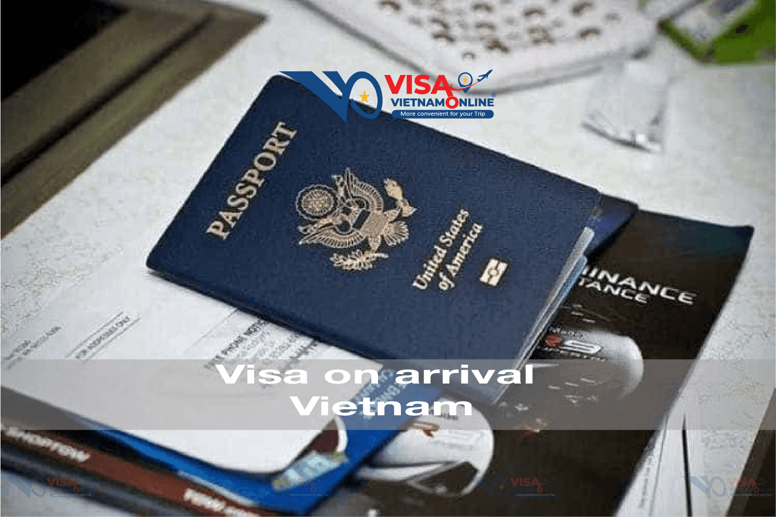 Visaonlinevietnam: Your Trusted Immigration Consultancy